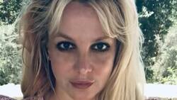 ¡Wow! Cómo han crecido los hijos de Britney Spears, no los vas a reconocer