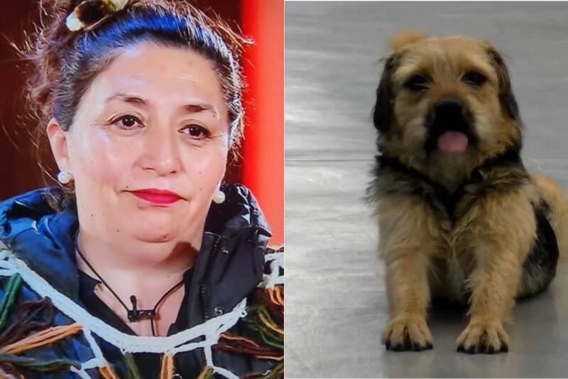 La oriunda de Chiloé confesó que en un momento también pensó en llevarse a Bigote a su casa.