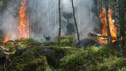 “Ebullición Global”: ¿De qué se trata la nueva advertencia de la ONU?