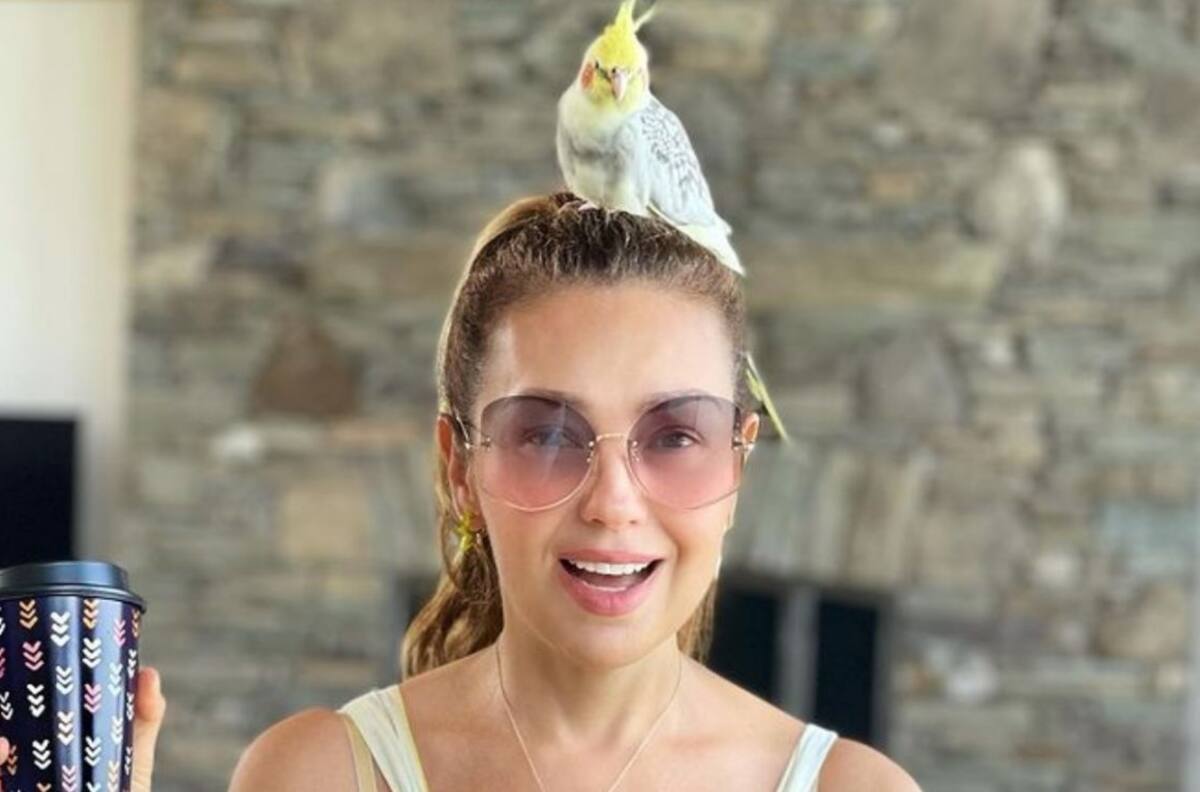 A fans se les olvida supuesto maltrato animal por parte de Thalía