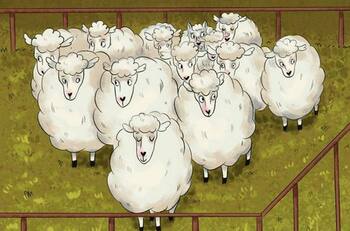 Acertijo visual: Localiza al lobo entre las ovejas, tienes 4 segundos