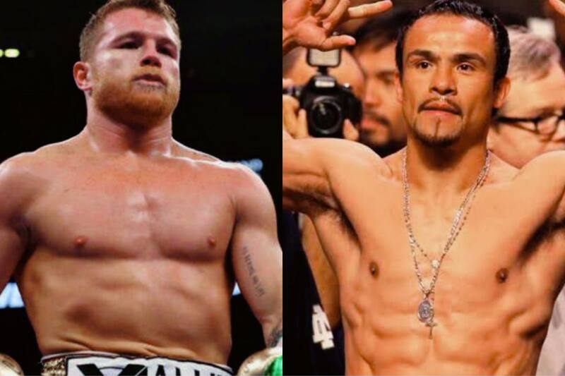 Canelo Álvarez arremetió contra Juan Manuel Márquez.