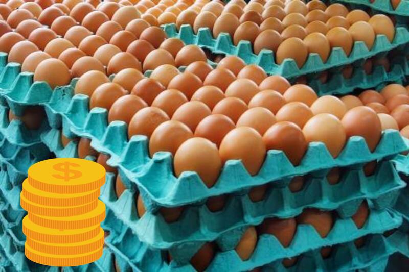 Conoce los estados en donde el kilo de huevo es más caro.