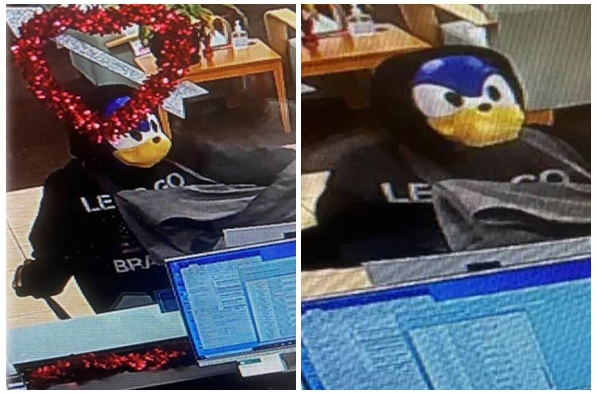 ¿Sonic se pasó al lado oscuro? Asaltan banco con disfraz el puercoespín