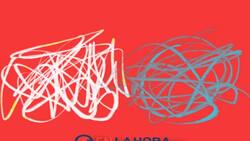 Resuelve este test para saber más de tu personalidad