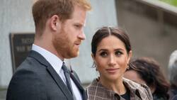 Meghan Markle y el príncipe Harry son acusados de estafadores