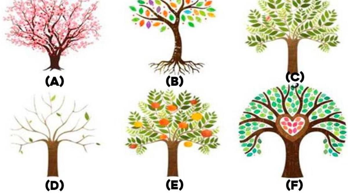 Test viral: Escoge el árbol que más te gusta para que conozcas rasgos de tu personalidad