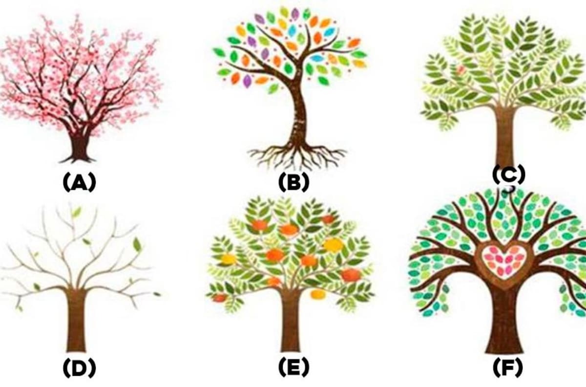 Test viral: Escoge el árbol que más te gusta para que conozcas rasgos de tu personalidad
