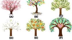 Test viral: Escoge el árbol que más te gusta para que conozcas rasgos de tu personalidad