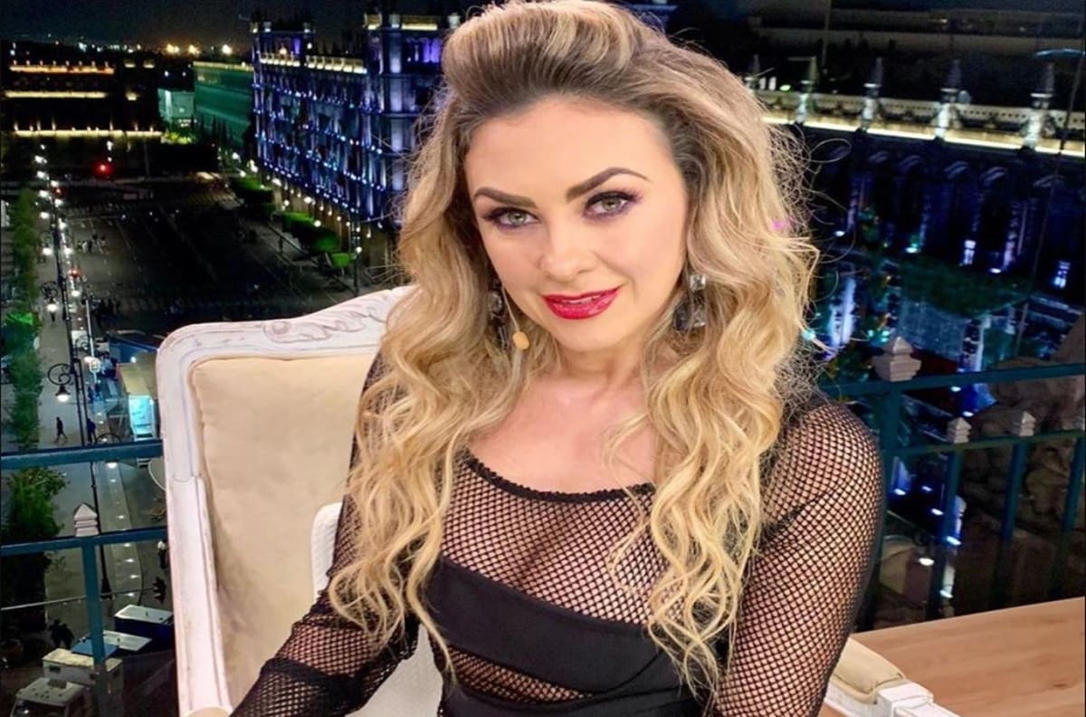 Aracely Arámbula podría autorizar su personaje en “Luis Miguel, la serie” bajo estas condiciones