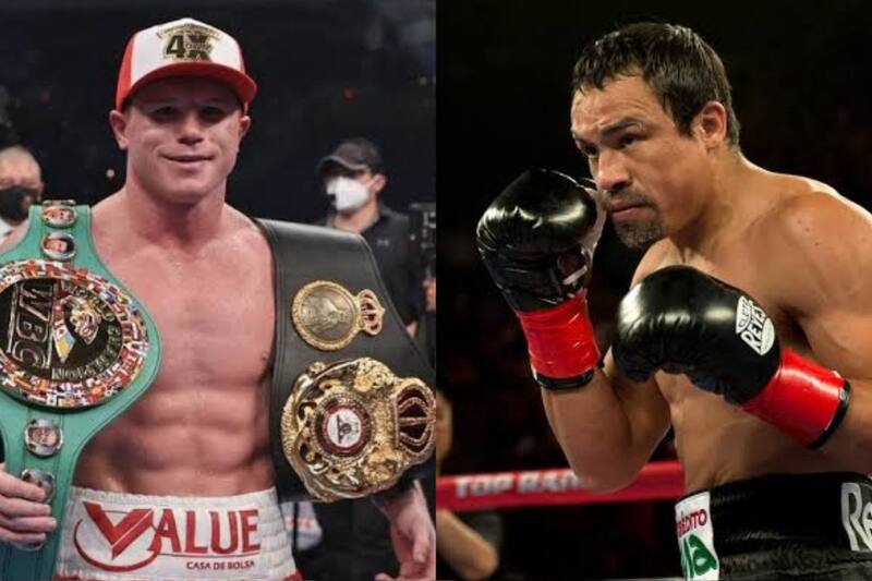 Juan Manuel Márquez quiere ver a Canelo Álvarez pelear con David Benavidez.