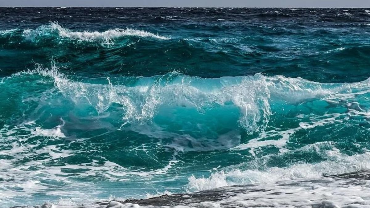 ¿Saldrás en Semana Santa? Estas son las playas más contaminadas de México