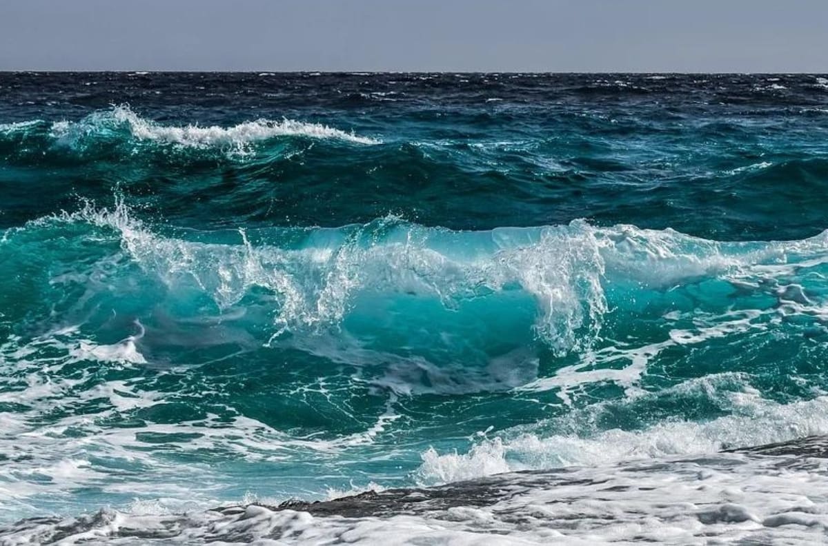¿Saldrás en Semana Santa? Estas son las playas más contaminadas de México
