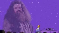 Usuarios de redes sociales rinden homenaje con memes al icónico Hagrid de Harry Potter tras su muerte ¡Lo extrañaremos!