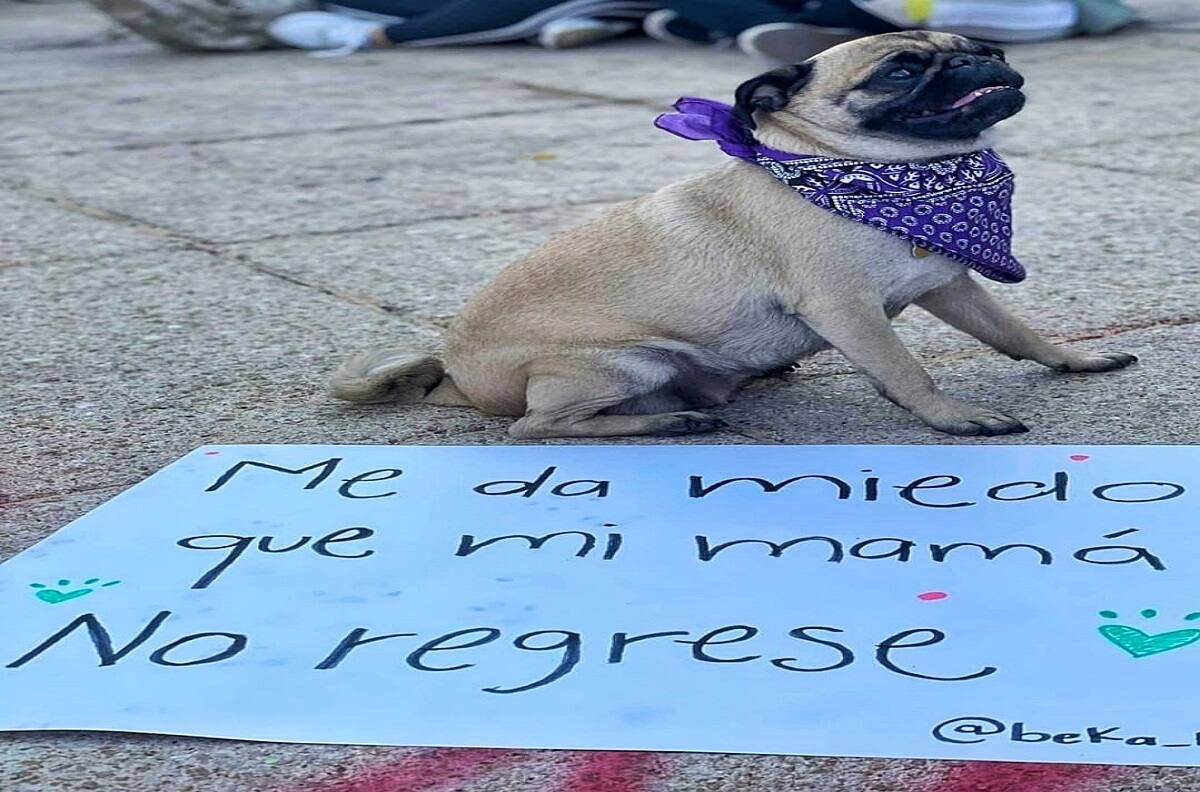 8M: Las pancartas más emblemáticas de la marcha del Día Internacional de la Mujer