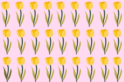 Solo los más rápidos logran encontrar la FLOR diferente en menos de 7 segundos