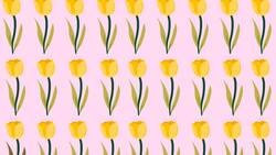 Solo los más rápidos logran encontrar la FLOR diferente en menos de 7 segundos