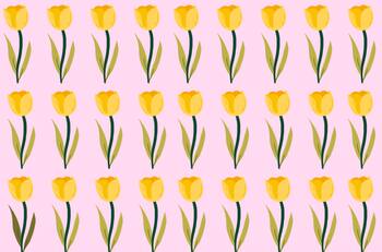 Solo los más rápidos logran encontrar la FLOR diferente en menos de 7 segundos