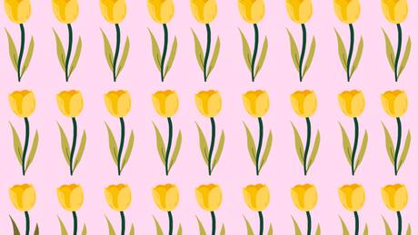 Solo los más rápidos logran encontrar la FLOR diferente en menos de 7 segundos