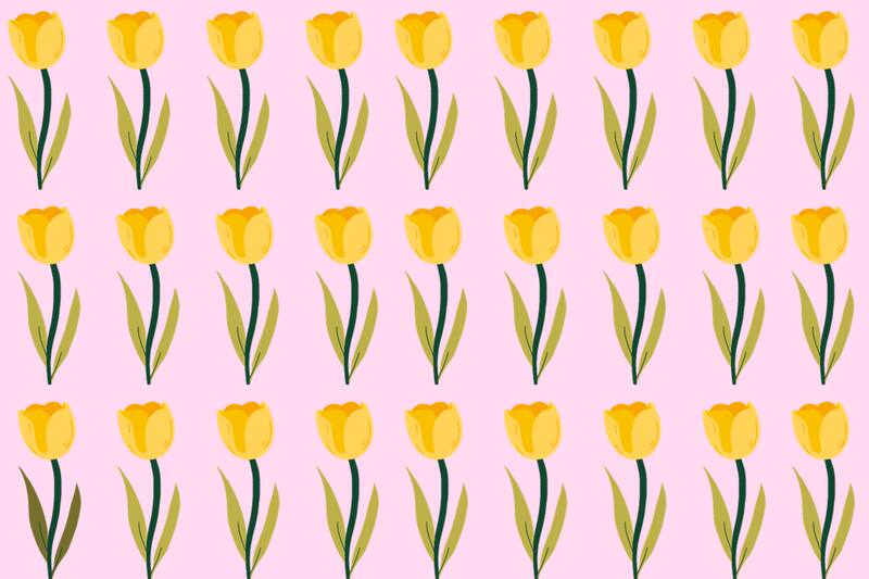 Observa detenidamente la imagen y encuentra la flor diferente a las demás.