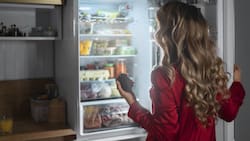 ¿Tu refrigerador ya no enfría? Identifica si le hace falta gas