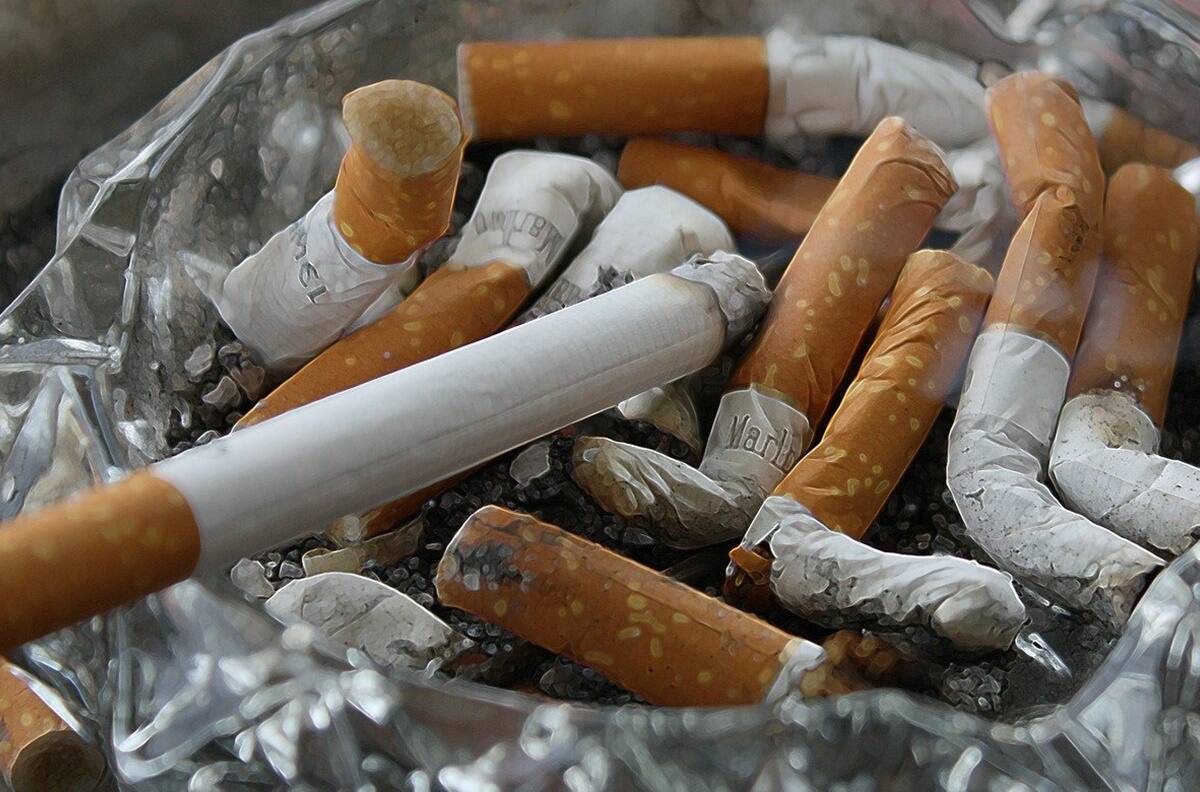 Día Mundial Sin Tabaco: 5 actividades para evitar el consumo del cigarro
