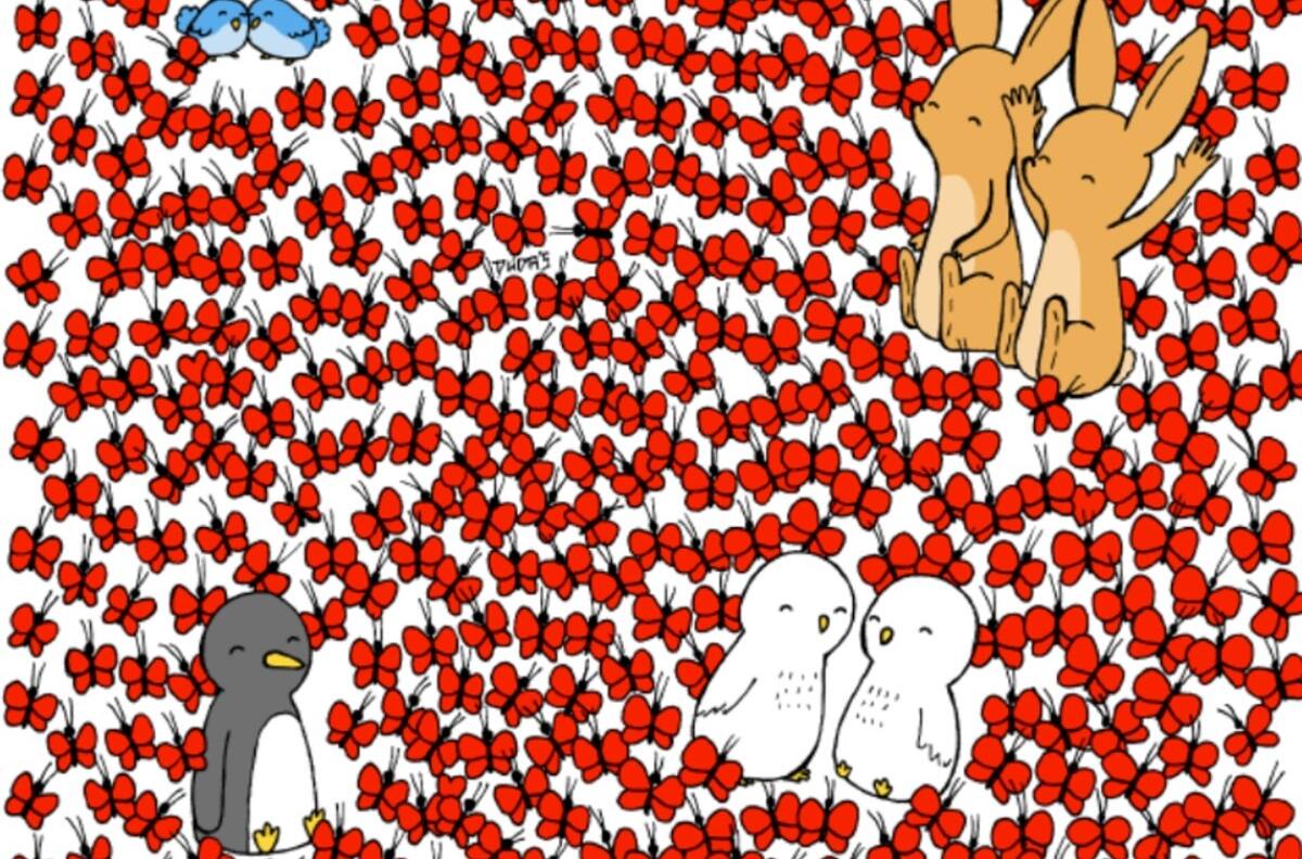 Acertijo visual: Encuentra los corazones escondidos entre mariposas