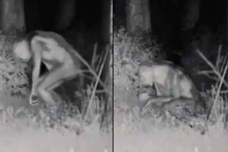 Un sitio habría revelado la verdad respecto al clip