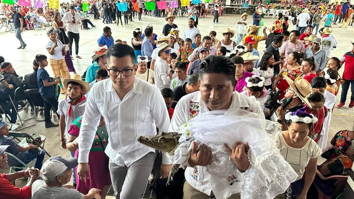 Alcalde se casa con un caimán en México como parte de una tradición local.