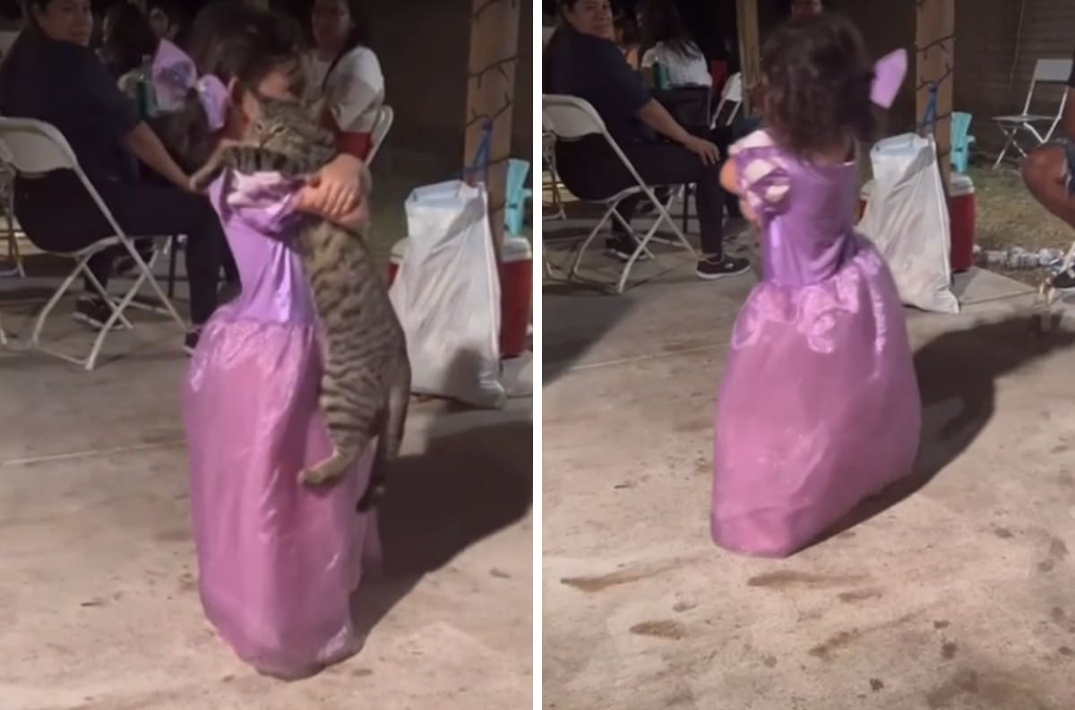 VIDEO| Niña baila la canción "No se va" con su gato y se viraliza