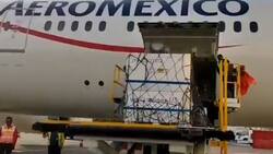 Llegaron a México 5.6 millones de dosis a granel de vacuna contra covid de AstraZeneca