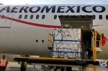 Llegaron a México 5.6 millones de dosis a granel de vacuna contra covid de AstraZeneca