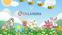 Encuentra el girasol en este acertijo visual de la primavera