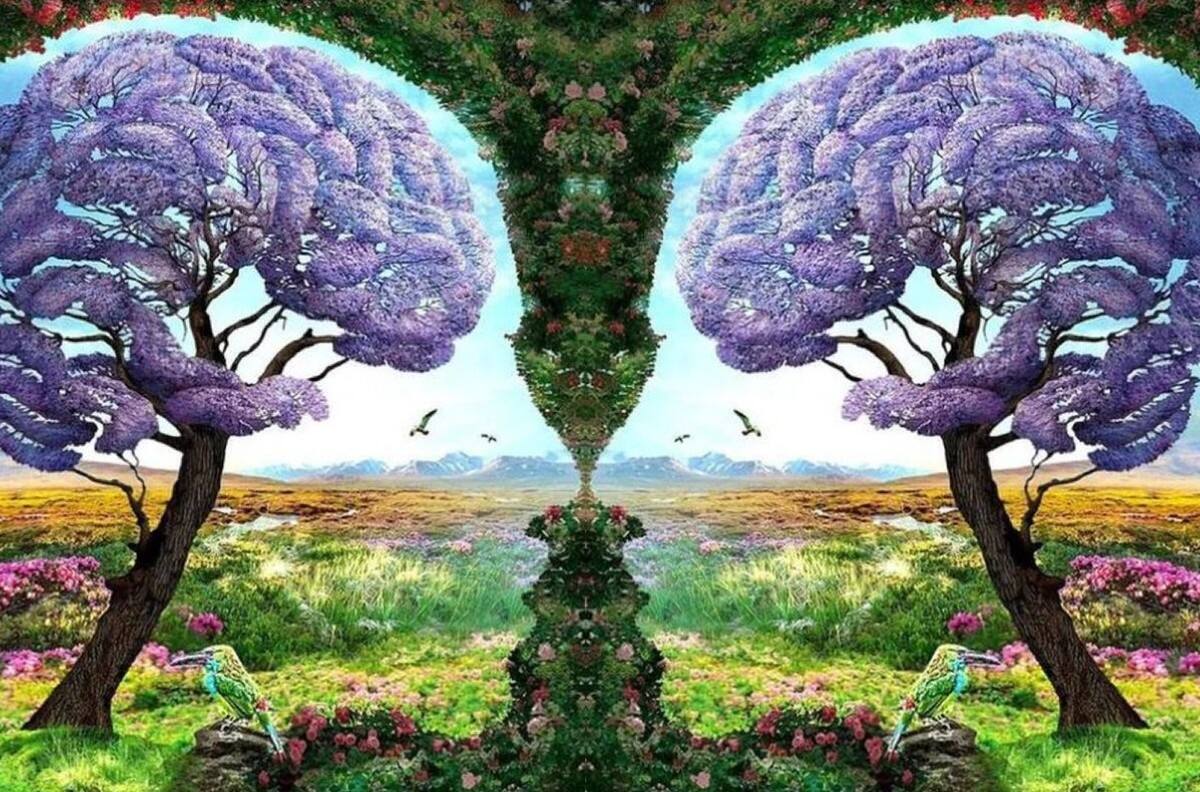 Test de personalidad: Lo primero que veas determina qué tan celoso eres en una relación amorosa