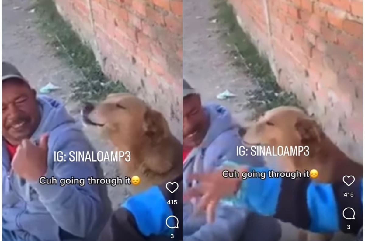 Perrita aúlla con tristeza al escuchar canción de Los Temerarios y se hace viral| VIDEO
