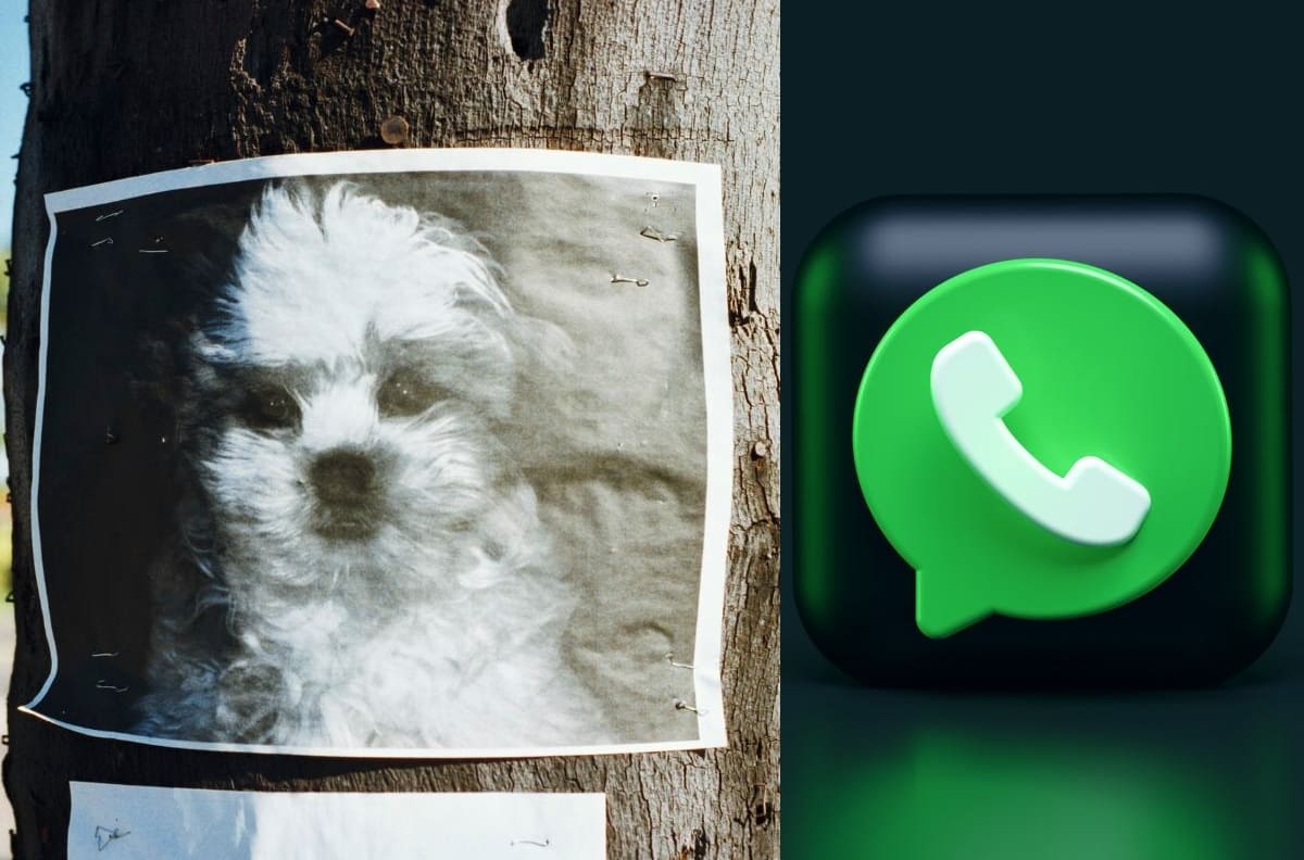 Escuadrón de búsqueda canina en WhatsApp: no caigas en este fraude