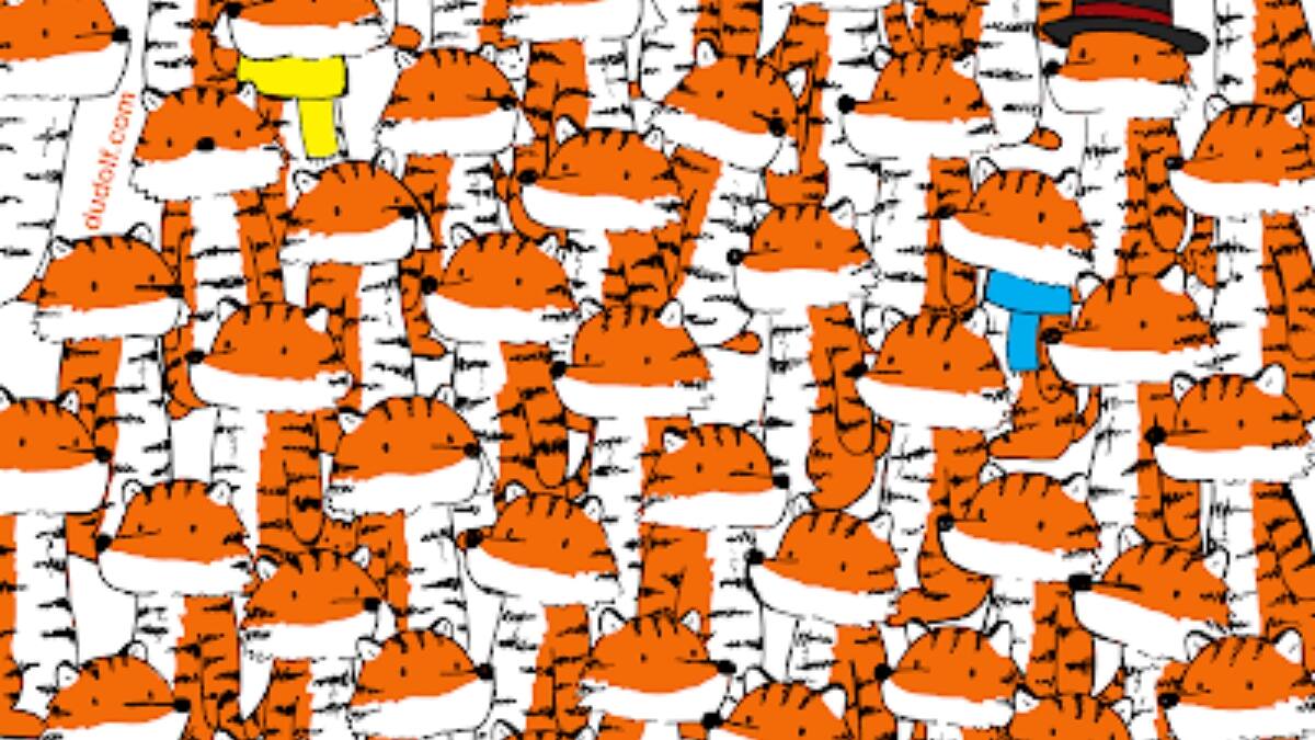 Acertijo visual: Encuentra los gatitos escondidos entre los tigres