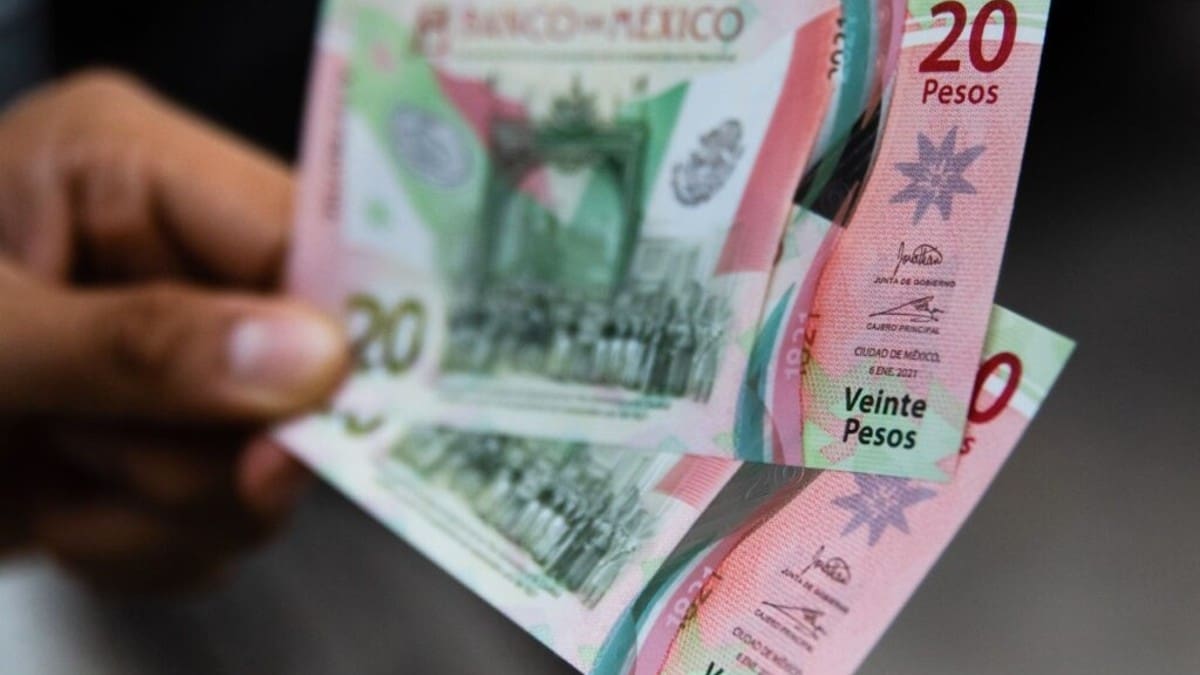 Numismática: Ofrecen billete de 20 en 500 mil pesos por un error de impresión