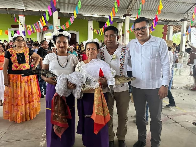 Alcalde se casa con caimán en México.