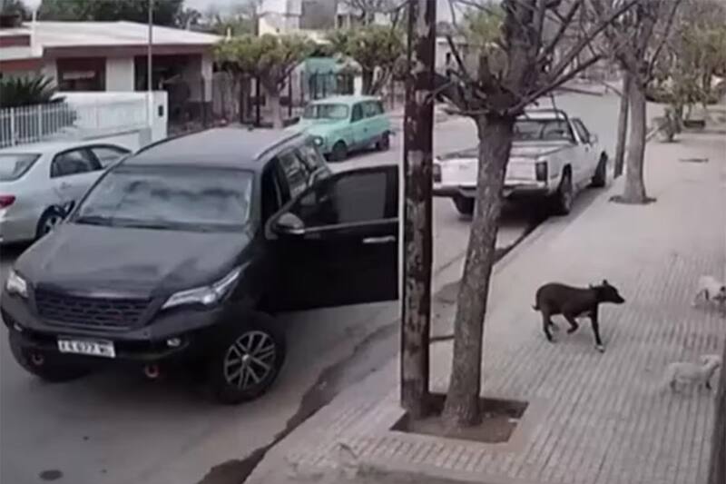 El hecho ocurrió en la ciudad de Córdoba. Captura Video.