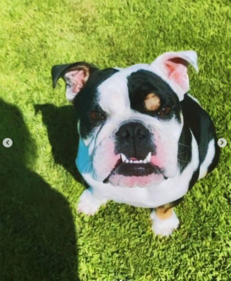 Aprende a preparar esta bebida con electrolitos que se ha hecho viral en Tik Tok.