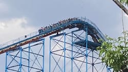 Pánico en Six Flags: Juego mecánico presenta fallas y deja a personas en las alturas por al menos media hora