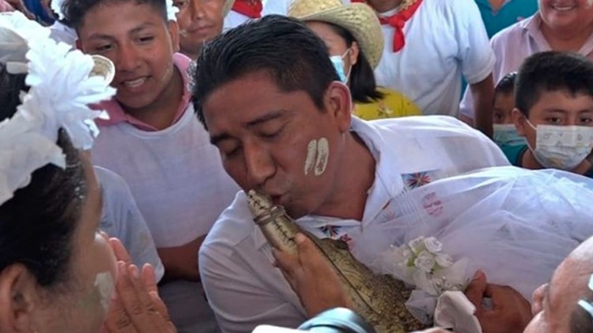 VIDEO | ¡Tradición milenaria! Alcalde de Oaxaca se casó con un caimán y le dio besos