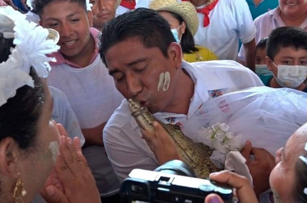VIDEO | ¡Tradición milenaria! Alcalde de Oaxaca se casó con un caimán y le dio besos