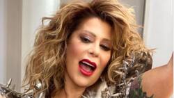 Su intento por ser la "eternamente bella" le ha costado caro a Alejandra Guzmán