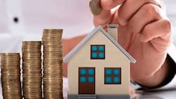 Predial CDMX: Así puedes obtener la condonación del impuesto del 2020 al 2021