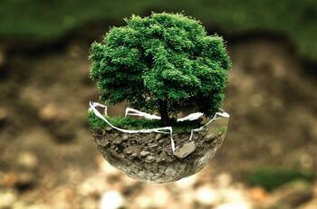 Test de personalidad: ¿Qué tan conectado estás con la naturaleza?