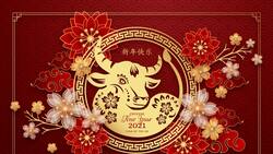 Horóscopo chino 2022: ¿Qué depara este 2022 para el Buey?