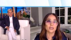 Harry Styles nunca olvidará cuando el búho de Salma Hayek lo vomitó