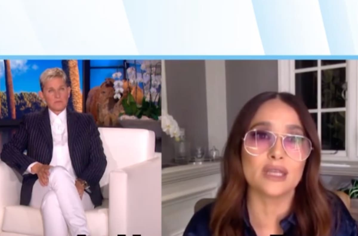 Harry Styles nunca olvidará cuando el búho de Salma Hayek lo vomitó